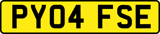 PY04FSE