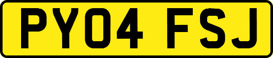 PY04FSJ