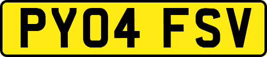 PY04FSV