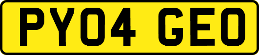 PY04GEO