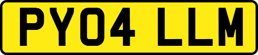 PY04LLM