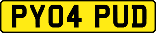 PY04PUD