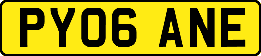 PY06ANE