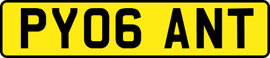 PY06ANT