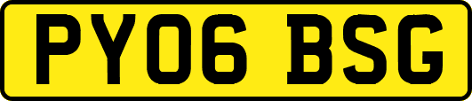 PY06BSG