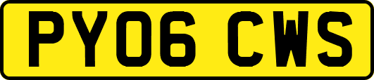 PY06CWS