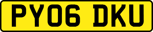 PY06DKU