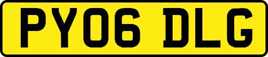 PY06DLG