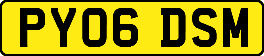 PY06DSM