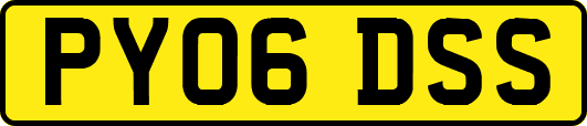 PY06DSS