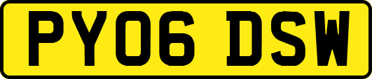 PY06DSW
