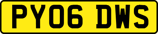 PY06DWS