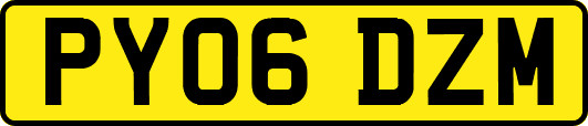 PY06DZM