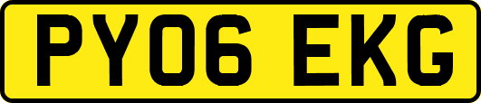 PY06EKG