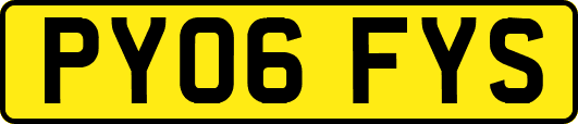 PY06FYS