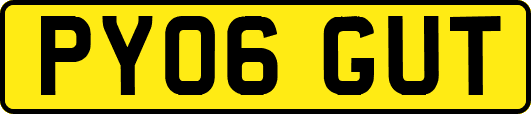 PY06GUT