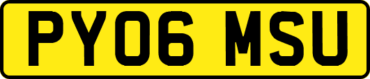 PY06MSU