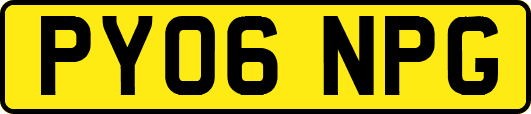 PY06NPG
