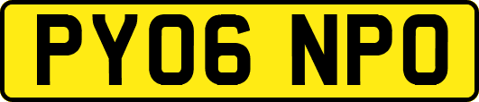 PY06NPO