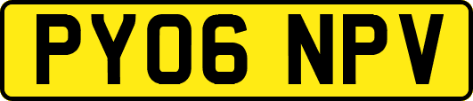PY06NPV