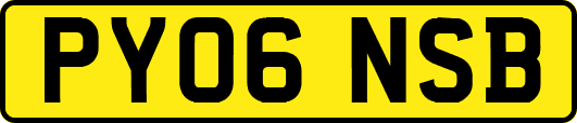 PY06NSB