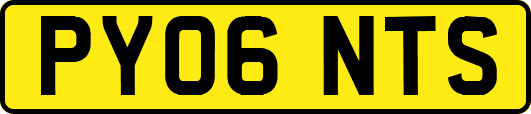 PY06NTS