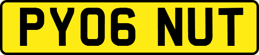 PY06NUT
