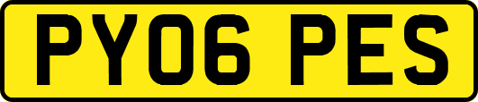 PY06PES