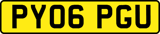 PY06PGU