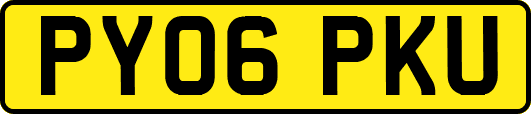 PY06PKU