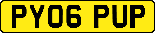 PY06PUP