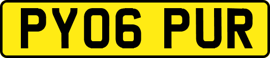 PY06PUR