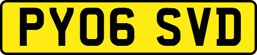 PY06SVD