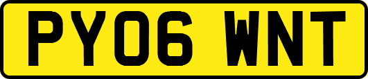PY06WNT