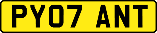 PY07ANT