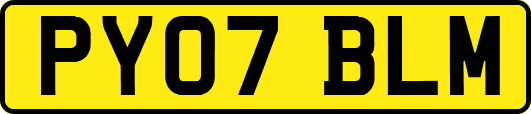 PY07BLM