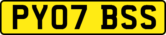 PY07BSS