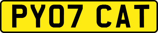 PY07CAT