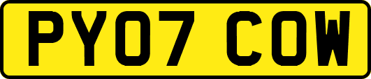PY07COW