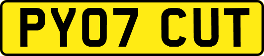 PY07CUT