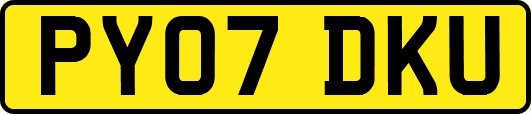 PY07DKU