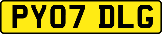 PY07DLG