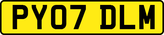 PY07DLM