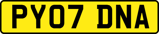 PY07DNA