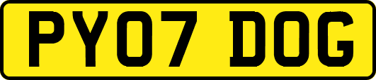 PY07DOG