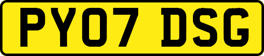 PY07DSG