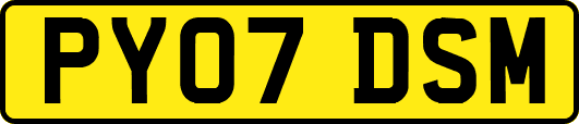 PY07DSM
