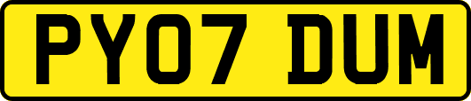 PY07DUM
