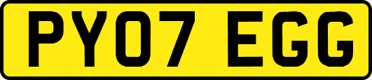PY07EGG