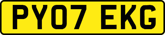 PY07EKG